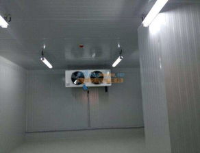 南寧醫藥冷庫 大量供應品質可靠的冷庫 廣西南寧市弘雪制冷設備