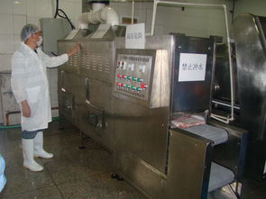 豬肉微波解凍設備 肉制品微波解凍機
