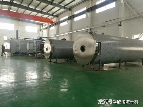 真空冷凍干燥機干燥過程中與溫度之間有何關聯